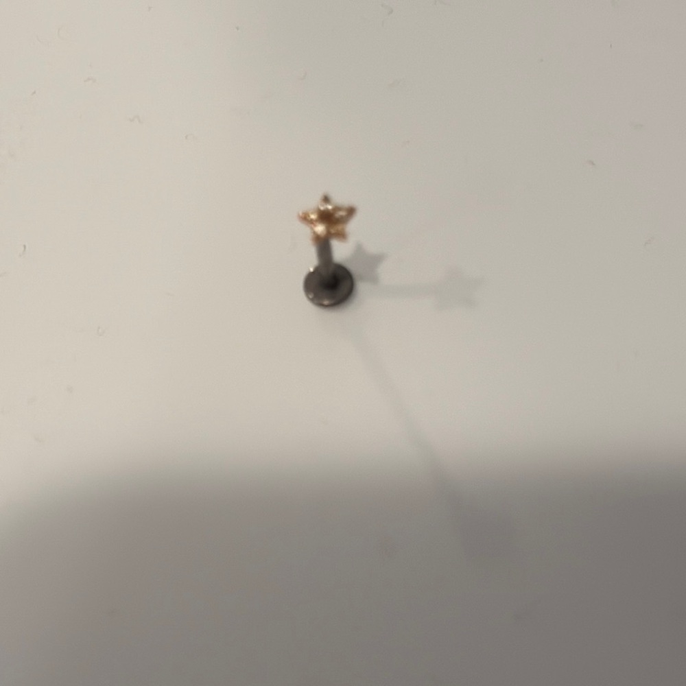 Gold Star Stud Earring